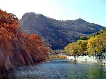 新澳天天开奖资料大全旅游团，论坛版主招聘